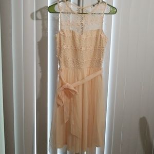 Light peach colored lace and tulle dress